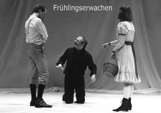 Frühlingserwachen von Frank Wedekind